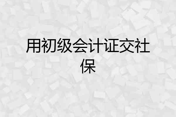 用初级会计证交社保