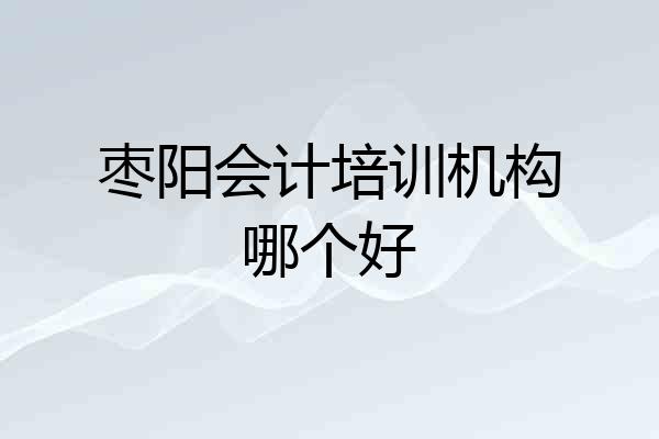 枣阳会计培训机构哪个好