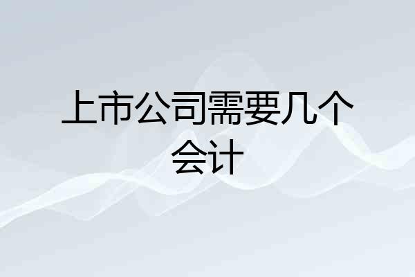 上市公司需要几个会计
