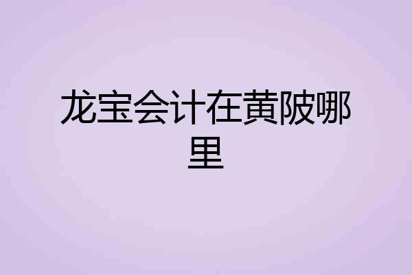 龙宝会计在黄陂哪里