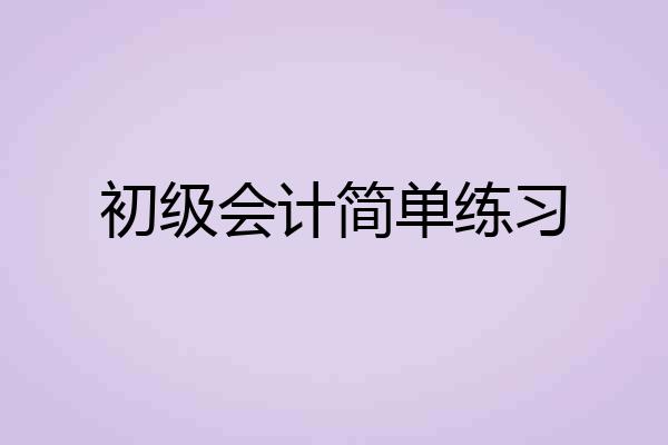初级会计简单练习