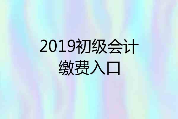 2019初级会计缴费入口