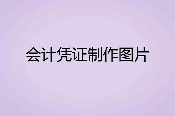会计凭证制作图片