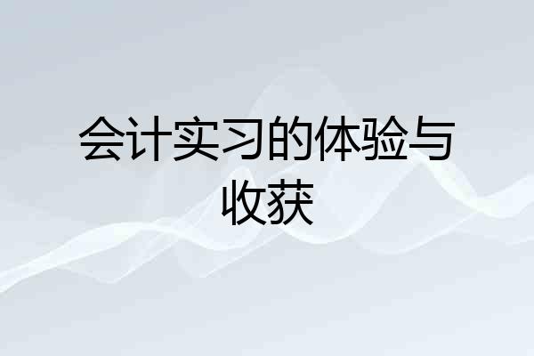 会计实习的体验与收获