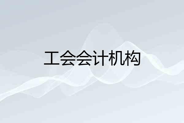 工会会计机构