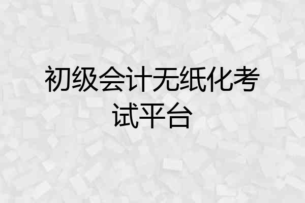 初级会计无纸化考试平台
