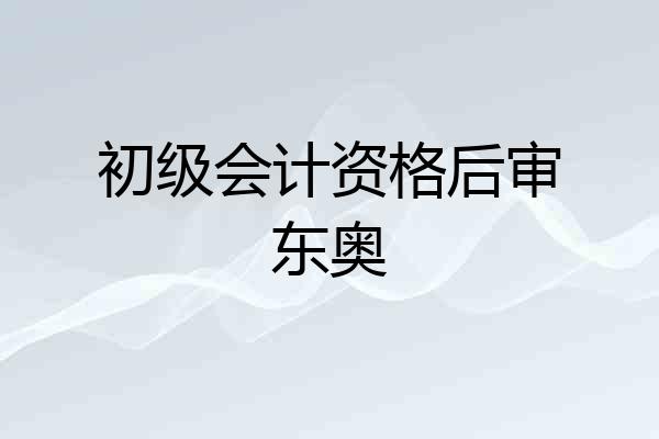 初级会计资格后审东奥