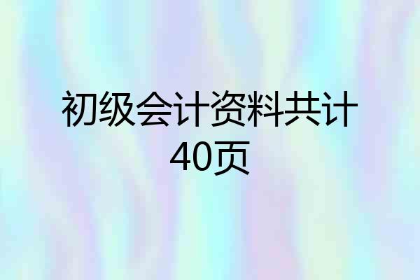 初级会计资料共计40页