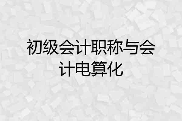 初级会计职称与会计电算化