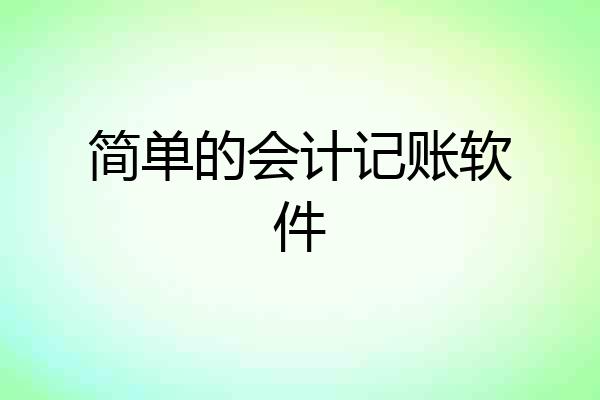 简单的会计记账软件