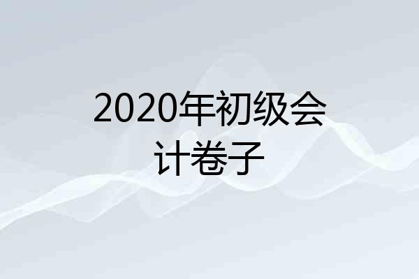 2020年初级会计卷子