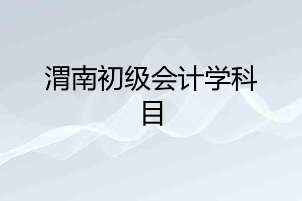 渭南初级会计学科目