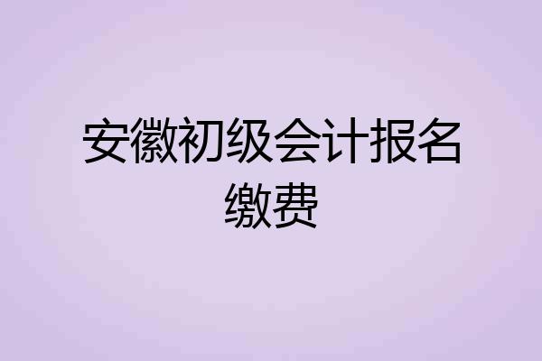 安徽初级会计报名缴费