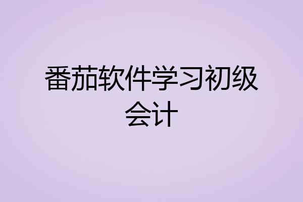 番茄软件学习初级会计