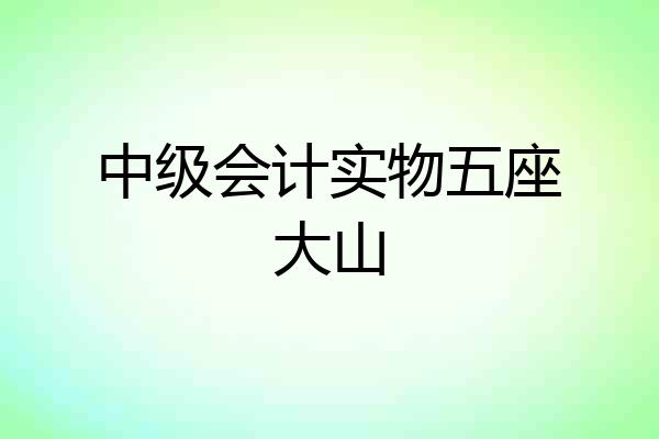 中级会计实物五座大山