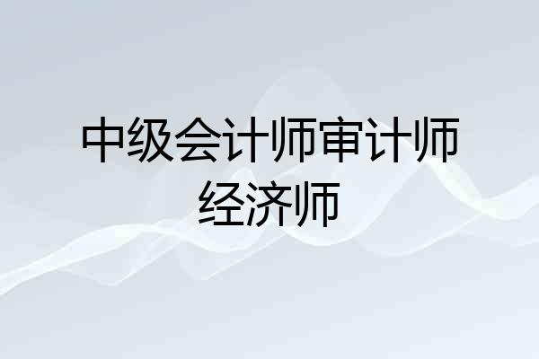 中级会计师审计师经济师
