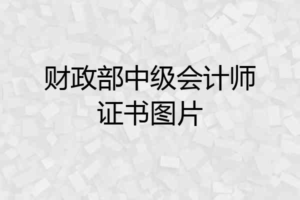 财政部中级会计师证书图片