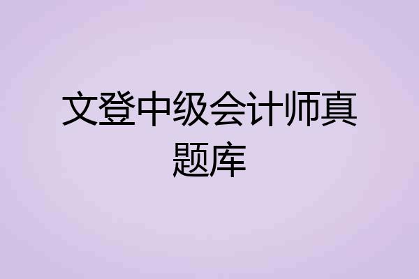 文登中级会计师真题库