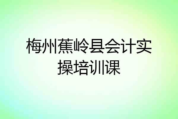 梅州蕉岭县会计实操培训课