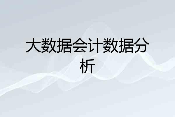 大数据会计数据分析