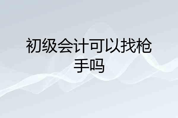 初级会计可以找枪手吗