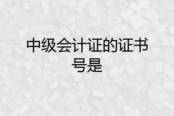 中级会计证的证书号是
