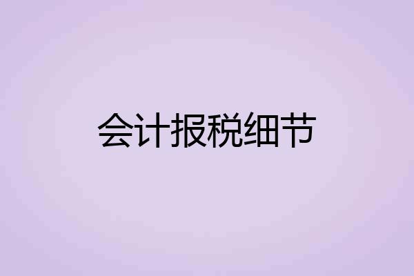 会计报税细节