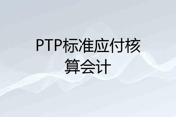 PTP标准应付核算会计