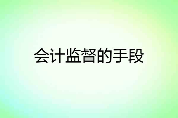 会计监督的手段
