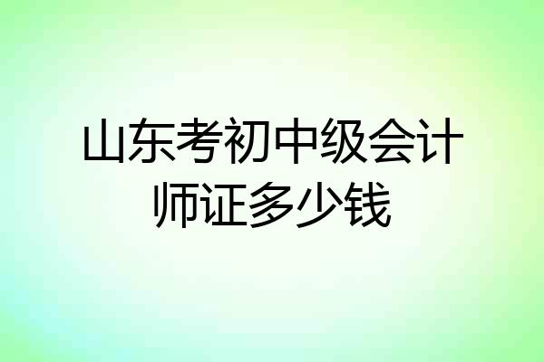 山东考初中级会计师证多少钱