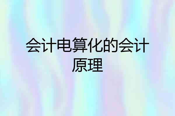 会计电算化的会计原理