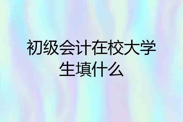 初级会计在校大学生填什么