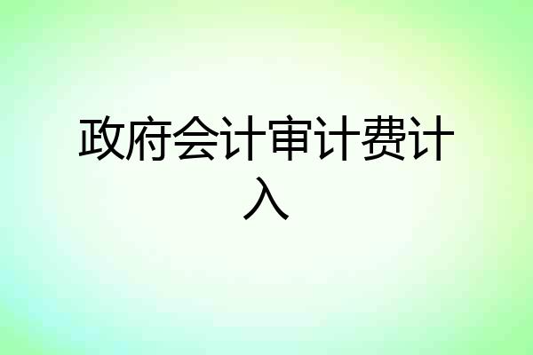 政府会计审计费计入