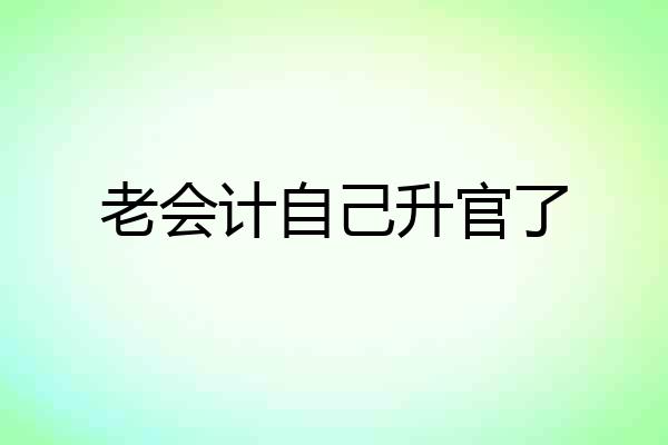 老会计自己升官了