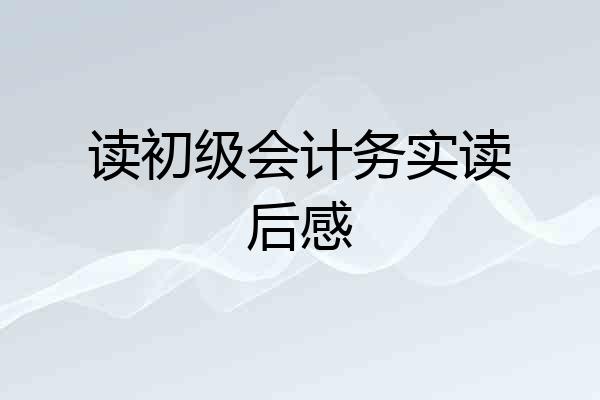 读初级会计务实读后感