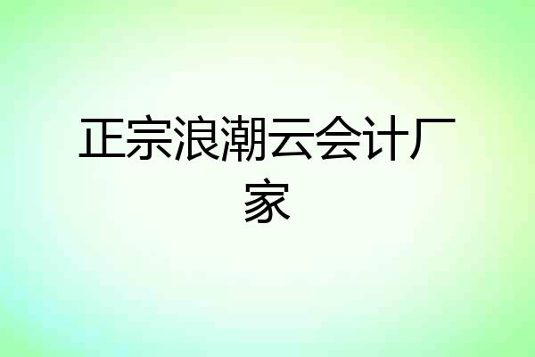 正宗浪潮云会计厂家