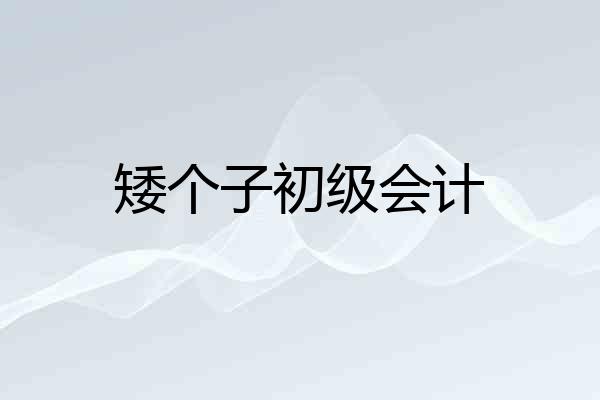 矮个子初级会计