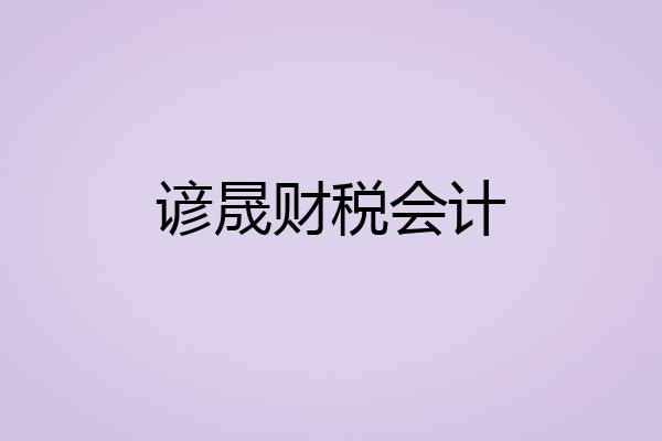 谚晟财税会计