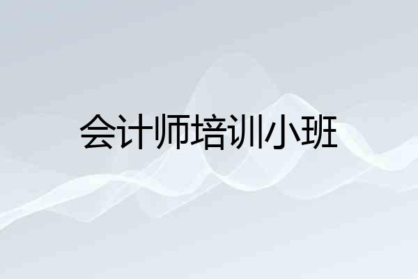 会计师培训小班