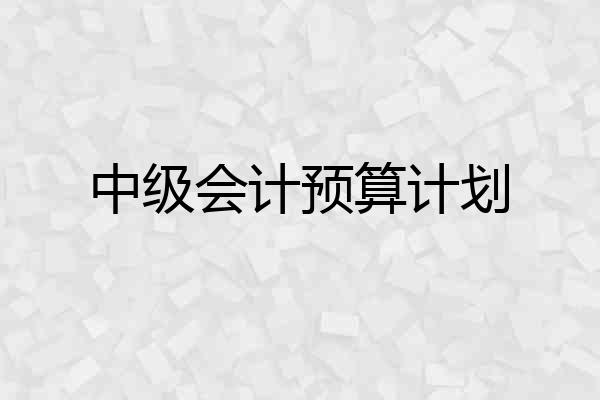 中级会计预算计划