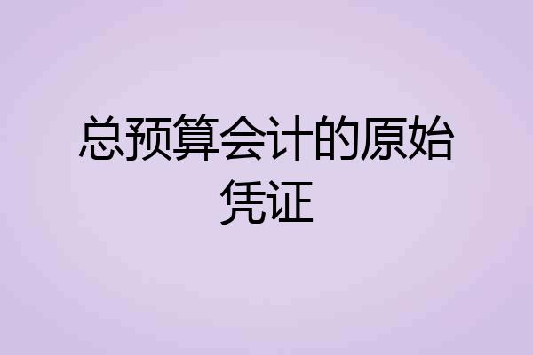 总预算会计的原始凭证