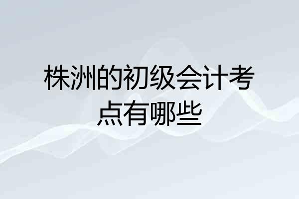 株洲的初级会计考点有哪些