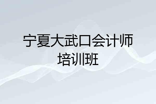宁夏大武口会计师培训班