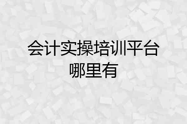 会计实操培训平台哪里有