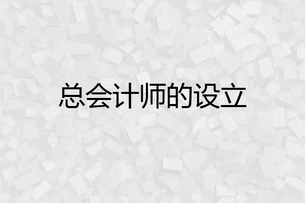 总会计师的设立