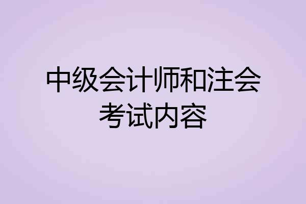 中级会计师和注会考试内容