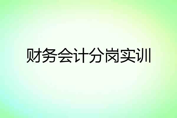 财务会计分岗实训