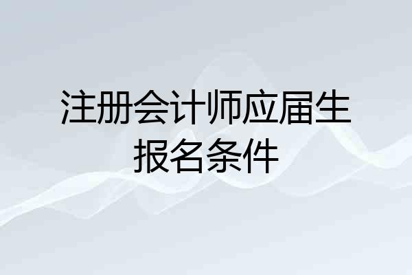 注册会计师应届生报名条件
