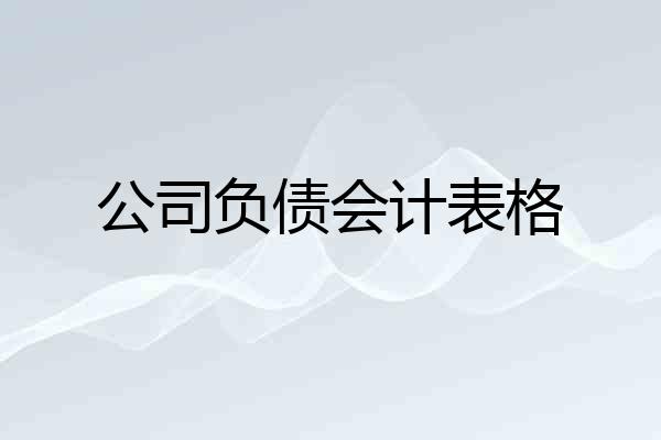 公司负债会计表格