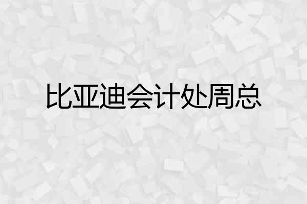 比亚迪会计处周总